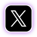 公式X