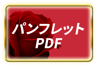 パンフレットPDF
