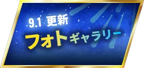 フォトギャラリー