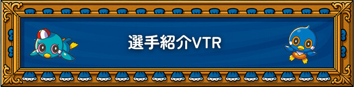 選手紹介VTR