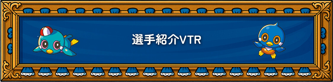 選手紹介VTR