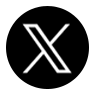 公式X