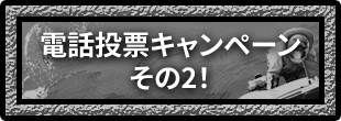 電話投票キャンペーン その2!