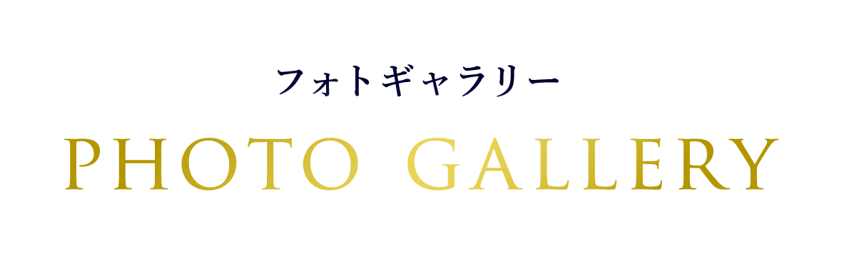 フォトギャラリー