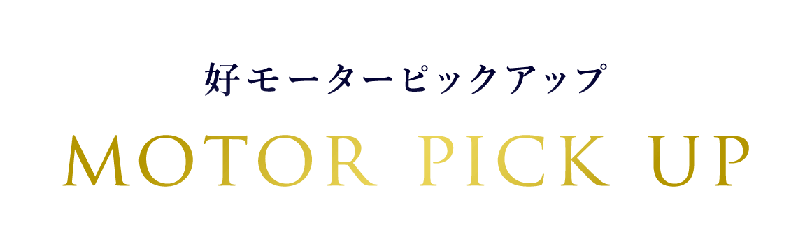 好モーターピックアップ