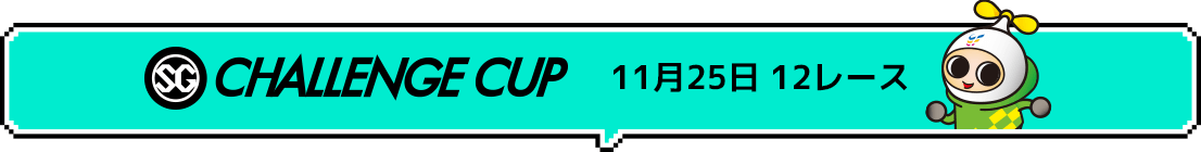 SG CHALLENGE CUP 11月25日 12レース