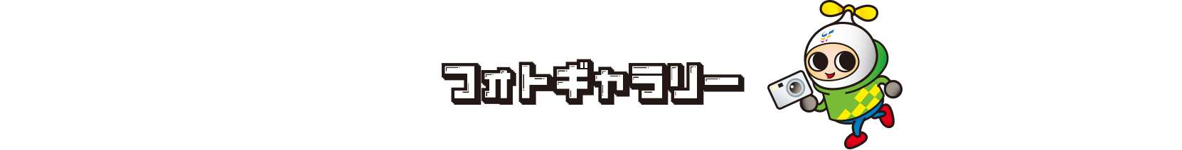 フォトギャラリー