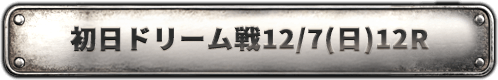初日ドリーム戦12/7(日)12R