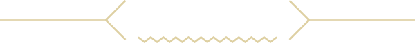 新着情報