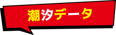 4 潮汐データ