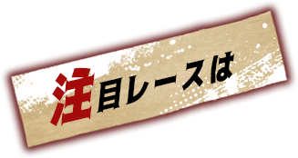 注目レースは