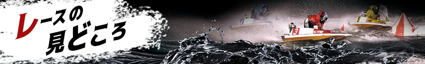 レースの見どころ