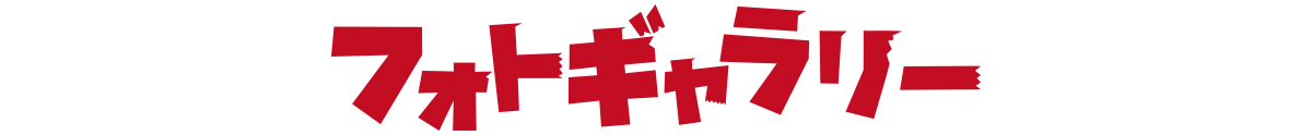 フォトギャラリー