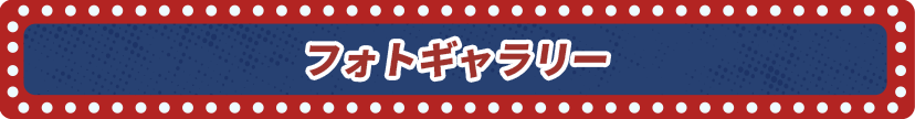 フォトギャラリー