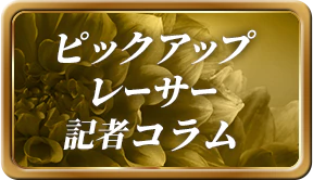 ピックアップレーサー記者コラム