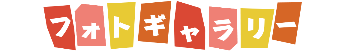 フォトギャラリー