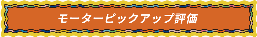 モーターピックアップ評価
