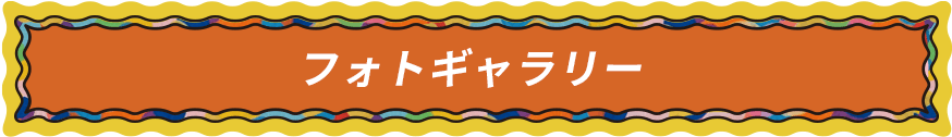 フォトギャラリー