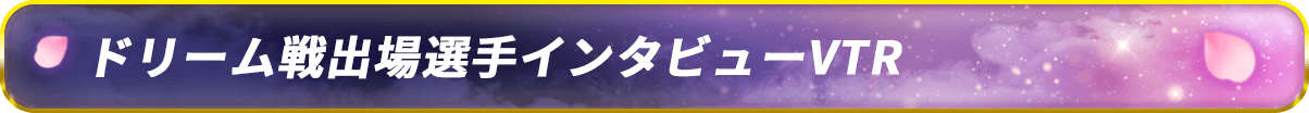 ドリーム戦出場選手インタビューVTR