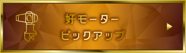 好モーターピックアップ