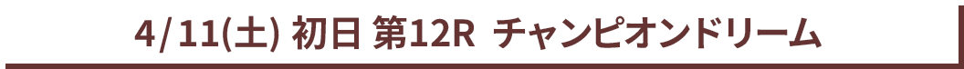 4/11(土) 初日 第12R チャンピオンドリーム