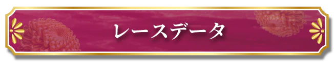レースデータ
