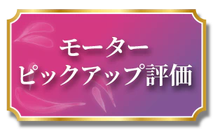 モーターピックアップ評価