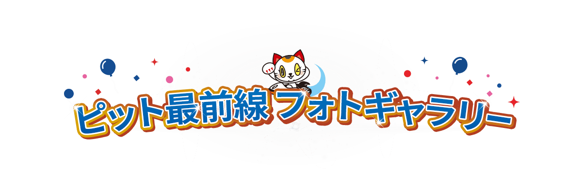 ピット最前線フォトギャラリー