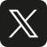 公式X