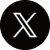 公式X