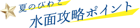 夏のびわこ 水面攻略ポイント