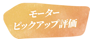 モーターピックアップ評価