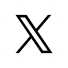 公式X