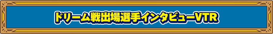 ドリーム戦出場選手インタビューVTR