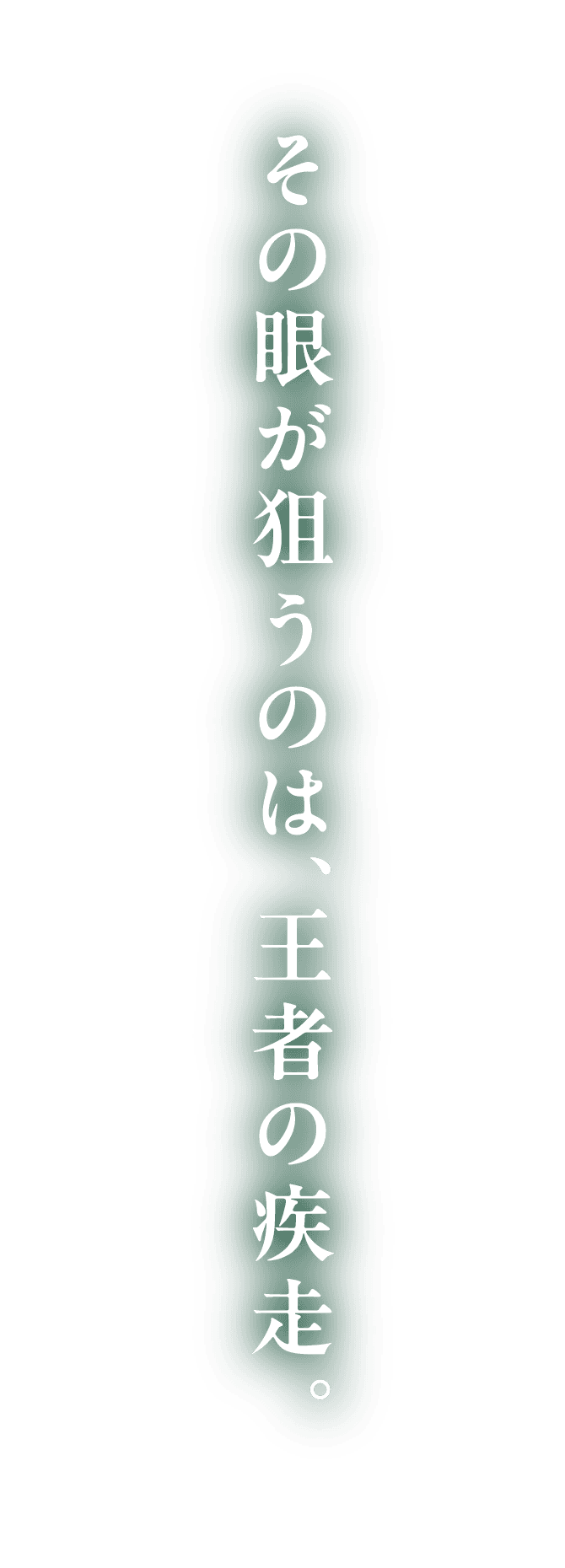 その眼が狙うのは、王者の疾走。