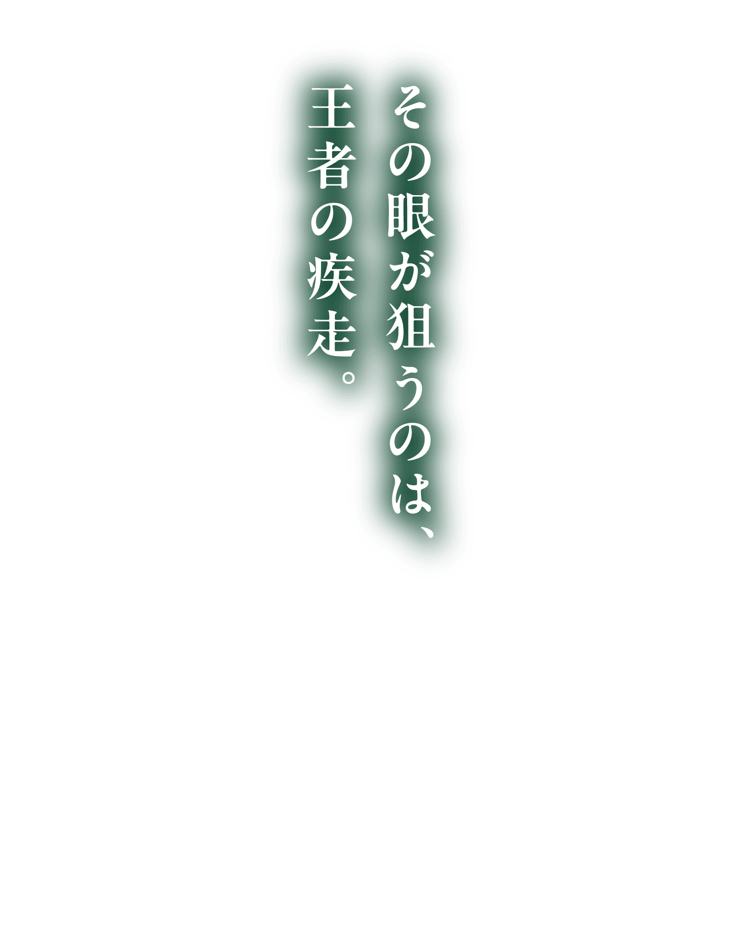 その眼が狙うのは、王者の疾走。