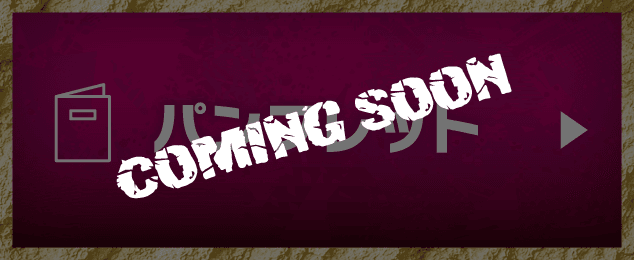 パンフレット(COMING SOON)