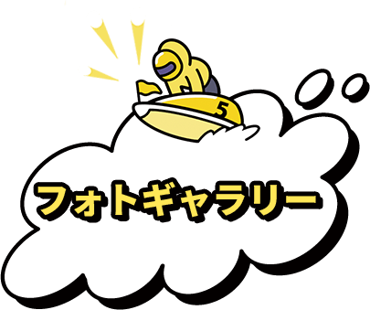 フォトギャラリー