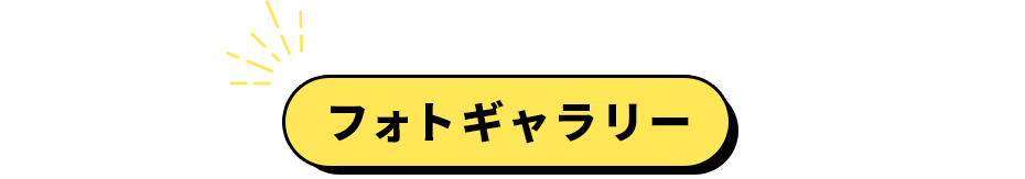 フォトギャラリー