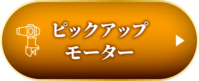整備士がおすすめする 好モーターピックアップ