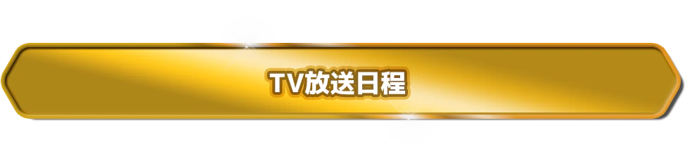 TV放送日程