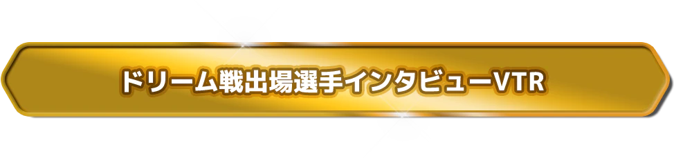 ドリーム戦出場選手インタビューVTR