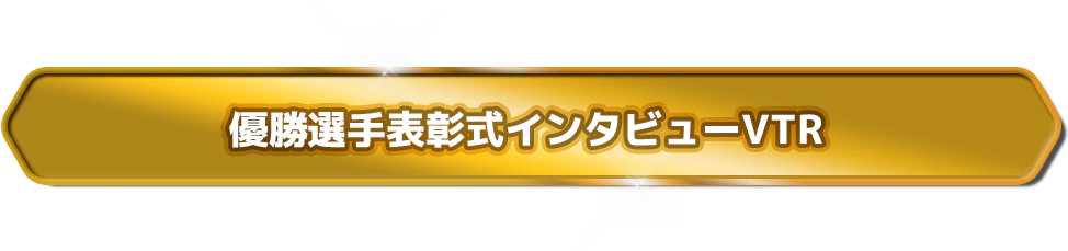 優勝選手表彰式インタビューVTR