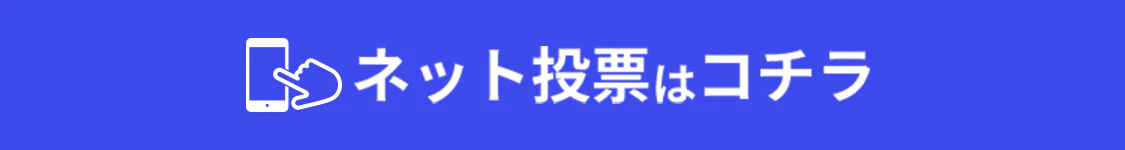 ネット投票